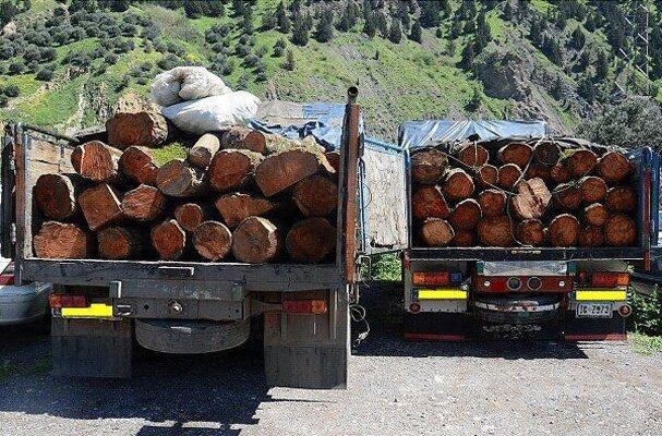 تشدید برخورد با قاچاق چوب در اردبیل