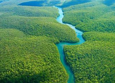 ماهواره بومی برزیل جنگلهای آمازون را کنترل می نماید