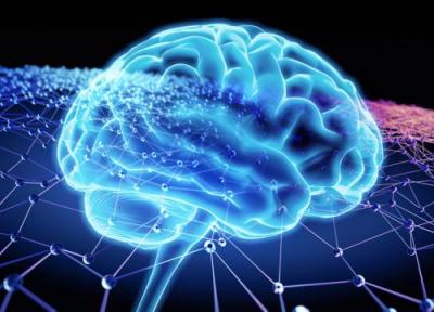 بررسی هم آوایی در شبکه نورونی مغز؛ استفاده از نتایج در علوم اعصاب