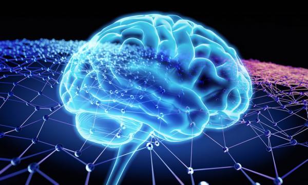 بررسی هم آوایی در شبکه نورونی مغز؛ استفاده از نتایج در علوم اعصاب