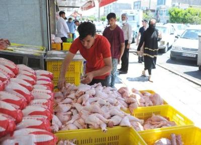 برنامه دولت برای کاهش قیمت مرغ ؛ مرغ مقرون به صرفه می گردد؟ ، مصرف مرغ کاهش یافت