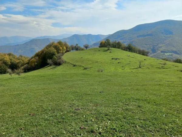 روستای کرینگان ، جاذبه ای دیدنی در ایران