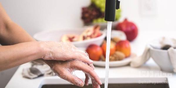 از شر بوی پیاز و سیر دست خلاص شوید! از شر بوی پیاز و سیر دست خلاص شوید!